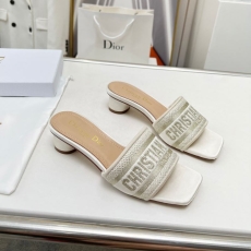 Christian Dior Slippers